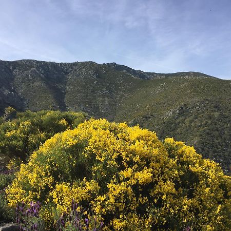 Guijo de Santa Bárbara Casa Rural Sierra De Tormantos المظهر الخارجي الصورة