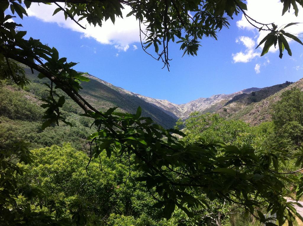Guijo de Santa Bárbara Casa Rural Sierra De Tormantos المظهر الخارجي الصورة