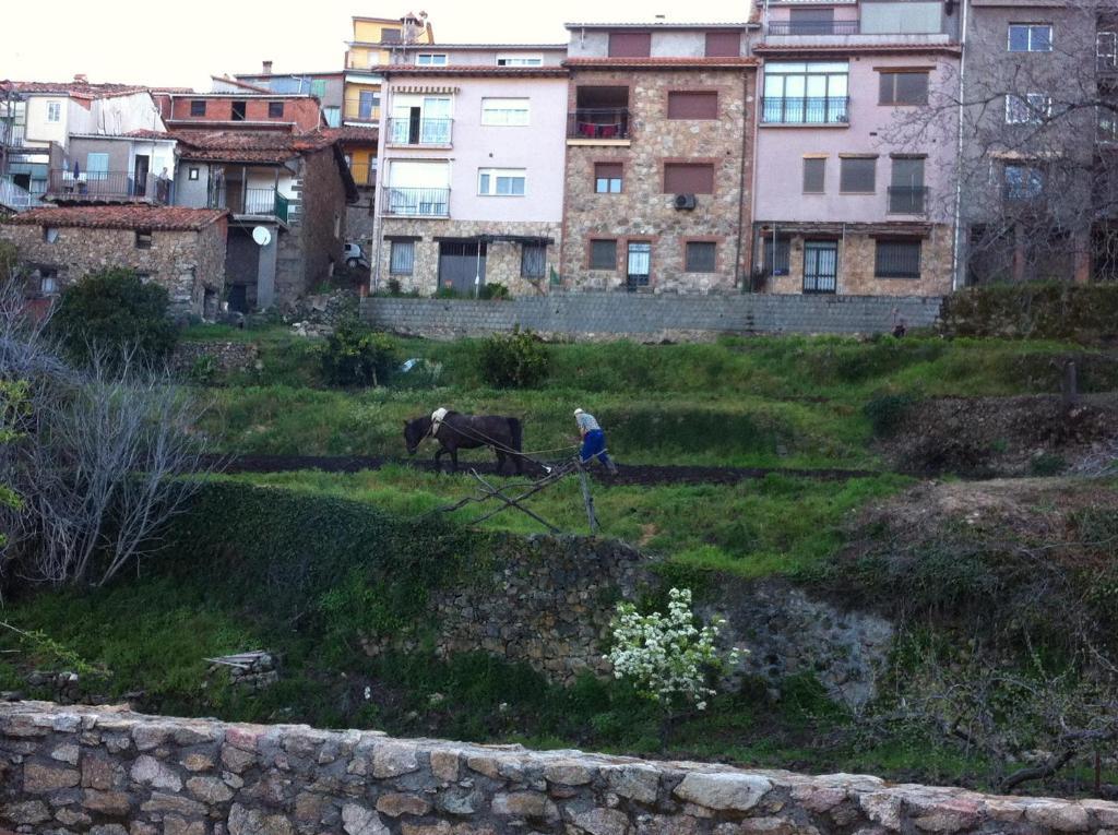 Guijo de Santa Bárbara Casa Rural Sierra De Tormantos المظهر الخارجي الصورة