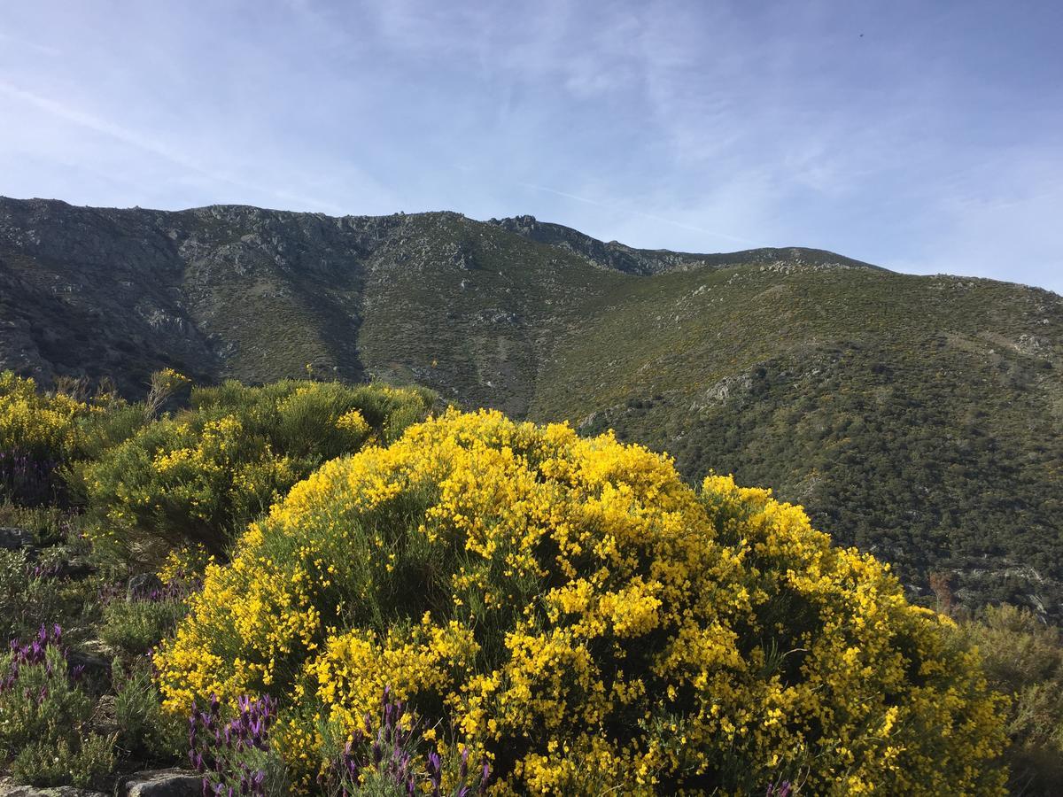 Guijo de Santa Bárbara Casa Rural Sierra De Tormantos المظهر الخارجي الصورة