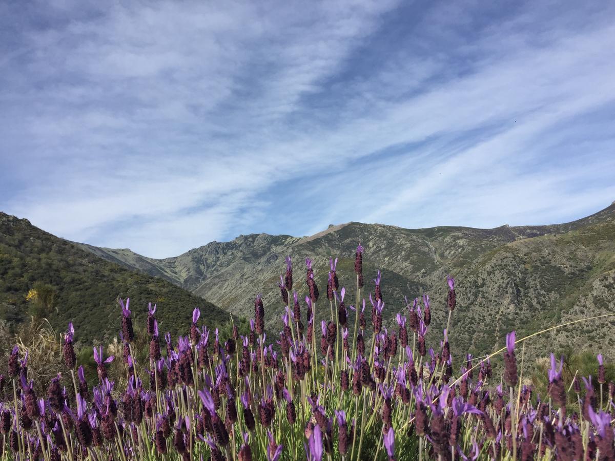 Guijo de Santa Bárbara Casa Rural Sierra De Tormantos المظهر الخارجي الصورة